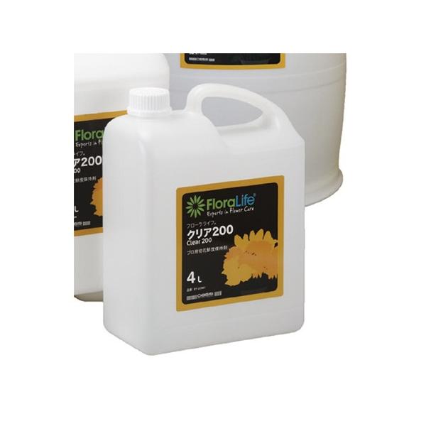 IAVX `wt[Ct@NAQOO@Sbg  4000 81-22001 ؉ԉ h{ t[Ct