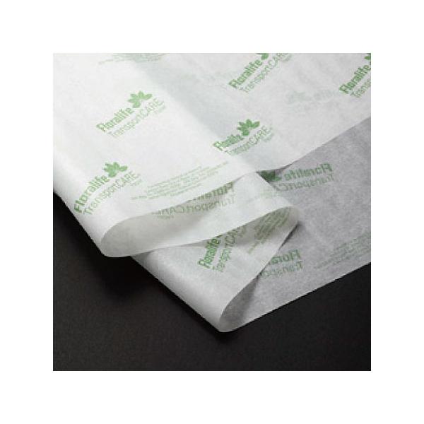 IAVX gX|[gPA 200^pbN U-6500 ؉ԉ h{ ̑؉ԉh{