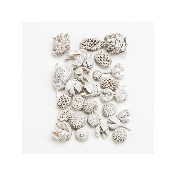 【商品番号：002-18672】/【VAR：48306】4544828105982/20140726new/15x-024/assortpd19/202510mfドライ実物＆フルーツ 松かさ、から松