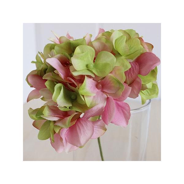  MAGIQ AXnChWA@PTQ@oj^fq PTP FM025048-152  ԍށusv  z