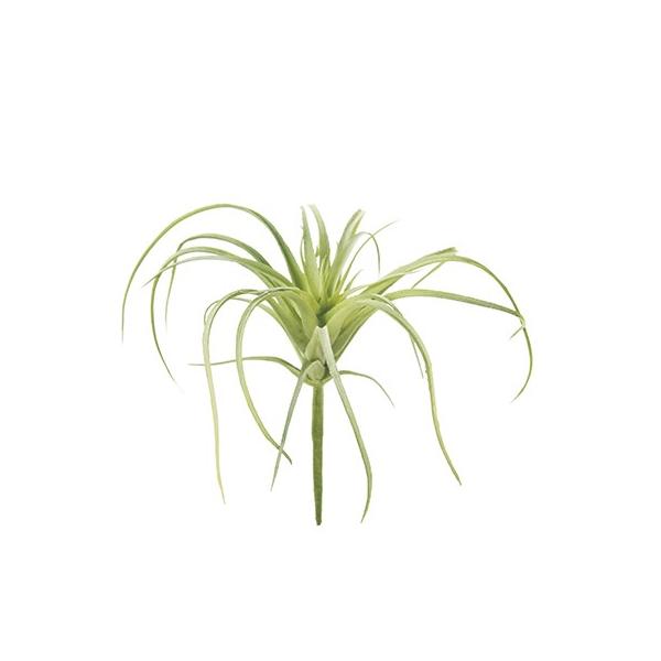  MAGIQ GAvc@QS@fqddm FG001364-024 ԗtAtFCNO[ GAvc