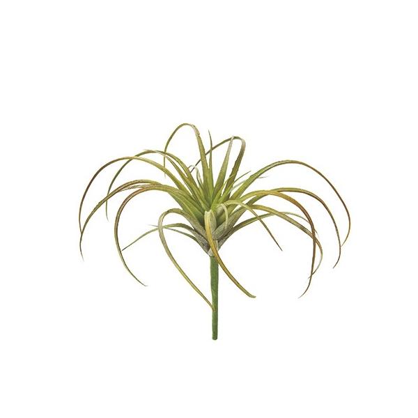 即日 造花 Magiq 東京堂 エアプランツ ２５ ｐｋ ｇｒ Fg 025 造花葉物 フェイクグリーン 多肉植物 Buyee Servis Zakupok Tretim Licom Buyee Pokupajte Iz Yaponii