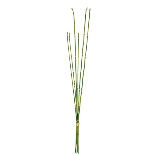 造花 MAGIQ東京堂 トクサバンドル　Ｓ　ＧＲＥＥＮ FG009977 造花葉物、フェイクグリーン トクサ