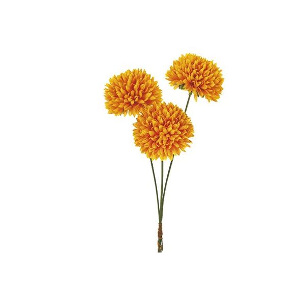  MAGIQ s|}sbN 21 CG[S[h 3{ FM002927-021  ԍށusv LN e  s|}