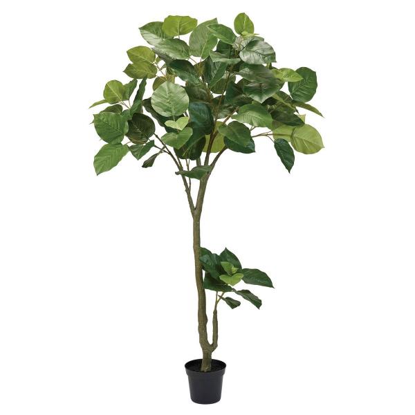 正規品販売 東京堂 Magiq 人工観葉植物 直送 高さ 0cm 人工観葉植物 ウンべラータ 高さ 0cm 人工観葉植物 代引不可 Fg 返品 造花 アートフラワー