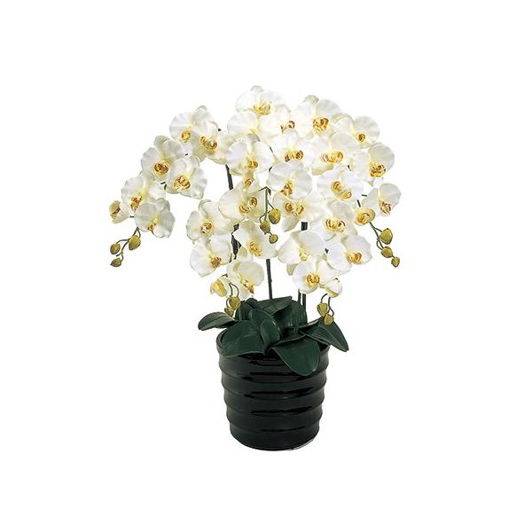  lHϗtA t@sAI[LbhT{@aj@N[zCg@ ZV06500B-001ԕi s ԃMtg Ӓ 