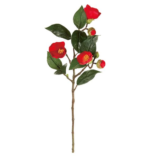  MAGIQ j QW qdc  FJ002634-028  ԍށusv coL 