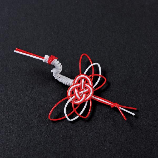  킶 6 XJ000030 fR[Vp[c f af p[c