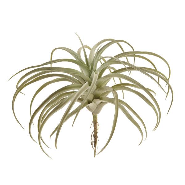  MAGIQ h~jNeBWAL 15 GRY.GR FG001661-015 ԗtAtFCNO[ GAvc