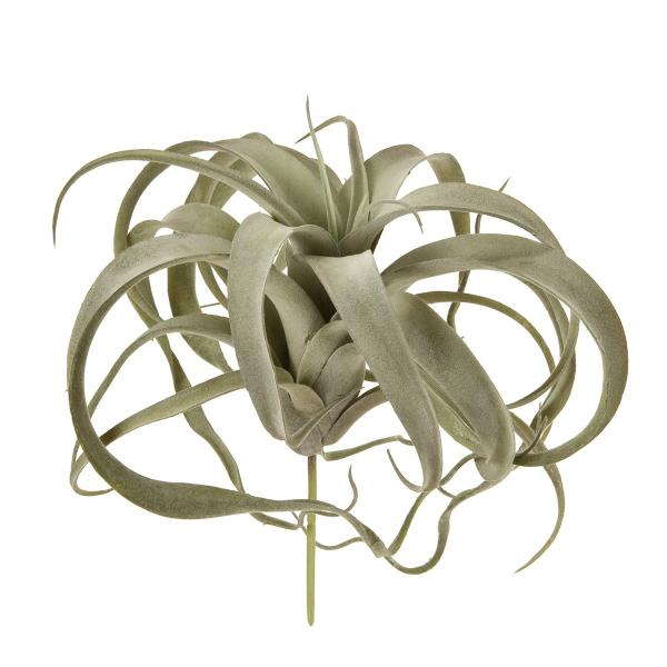  MAGIQ eBWA XgvgtB 15 GRY.GR FG001662-015 ԗtAtFCNO[ GAvc