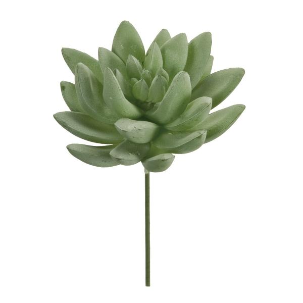  MAGIQ Z_ v} 15 WH WGR FG001733-015  ԍށusv Z_