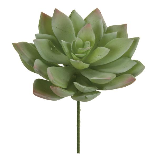  MAGIQ GPxA [ 22 GR PK FG001734-022 ԗtAtFCNO[ GAvc