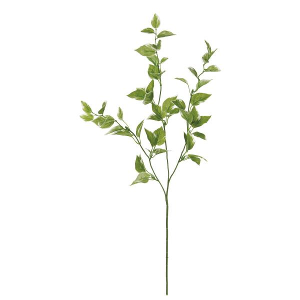  MAGIQ z[tXv[ CR GR FG002087 ԗtAtFCNO[ TJL