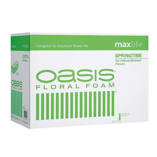 07 IAVX XvO^C Δ maxlife 48 K-0100 t[tH[ IAVX  ԗpubN