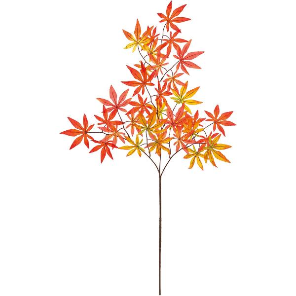  MAGIQ R݂ IWCG[ FG001893 Ԏ} ~W C`E