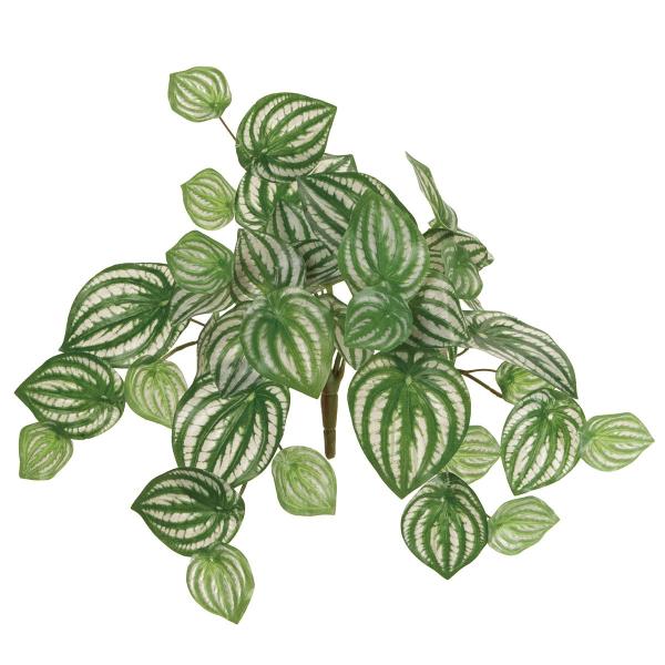  MAGIQ yy~AoC O[ FG008799 ԗtAtFCNO[ ̑̑ԃO[