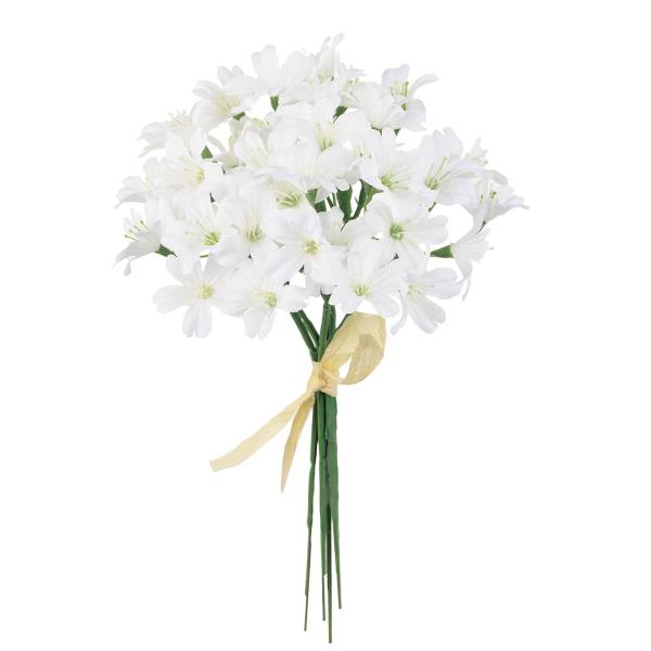 【商品番号：002-33067】/【VAR：51049】4967116461469/20180205new/18sstd5/180220pu/A17haha-005/asum-008/180712pu/t19ssmf/bk-1030/bk-...