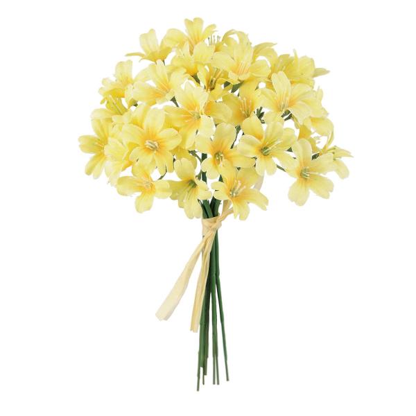 【商品番号：002-33069】/【VAR：51049】4967116461537/20180205new/18sstd5/A17haha-005/asum-010/180704pu/t19ssmf/bk-1030/1912pa/bk-20...