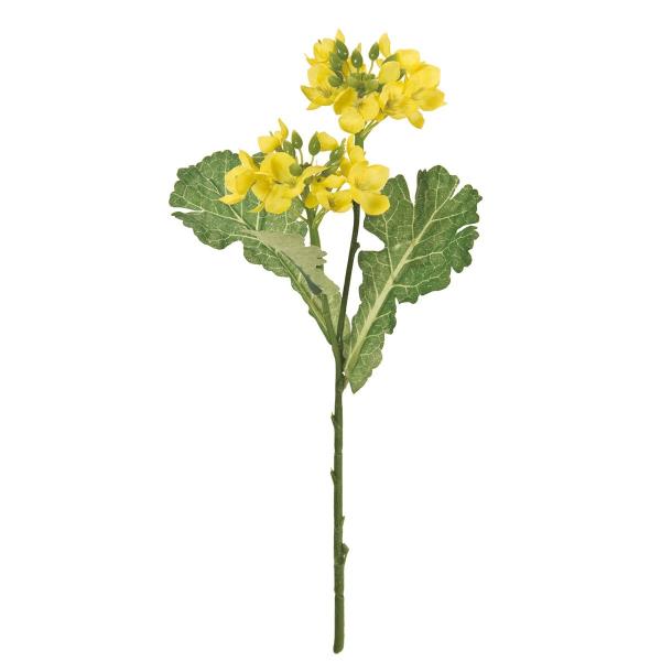 【商品番号：002-33113】/【VAR：51029】4967116447784/20180205new/18sstd3/180212pu/t19ssss/16hina-008/bk-2039/bkz-0214造花 花材「な行」 ナノハナ