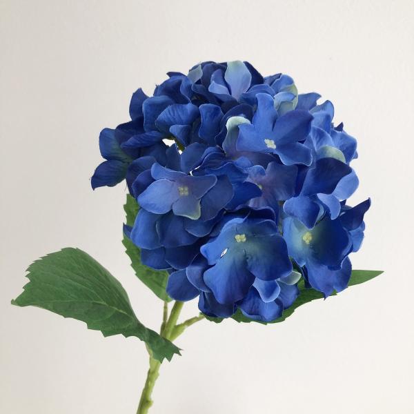 hanadonya_002-33248