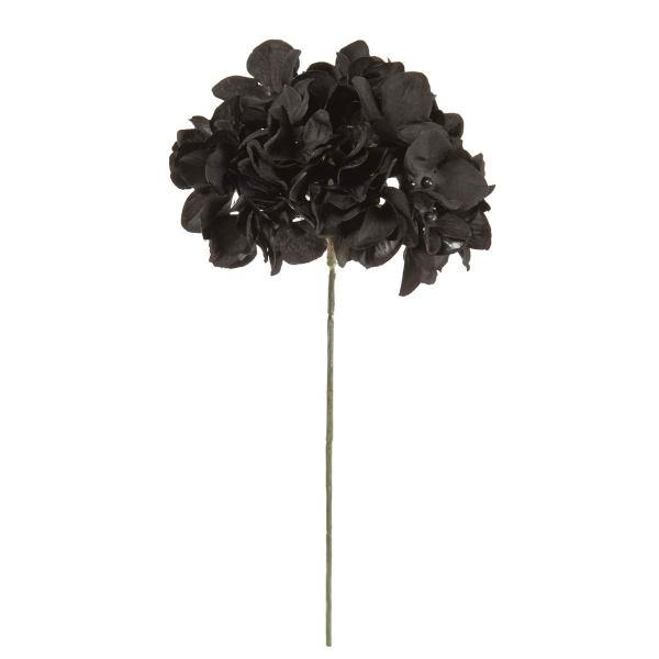  MAGIQ AXnChWA 20 ubN FM025048-020  ԍށusv  z