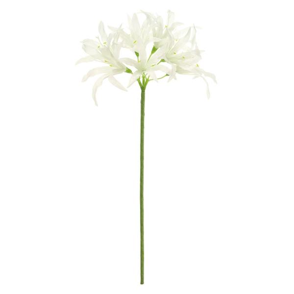 【商品番号：002-34329】/【VAR：54529】4967116508829/20180622new/bk-1038/bk-2027/bkz-0009/bkz-0208/bkz-0301/bkz-0408造花 花材「な行」 ネリネ・ダ...