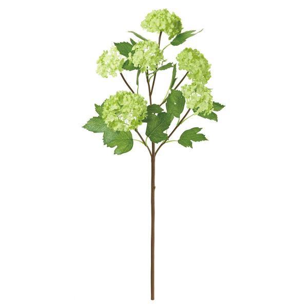  MAGIQ i`Xm[{[ LTGR CgO[ FM001799  ԍށusv Xm[{[