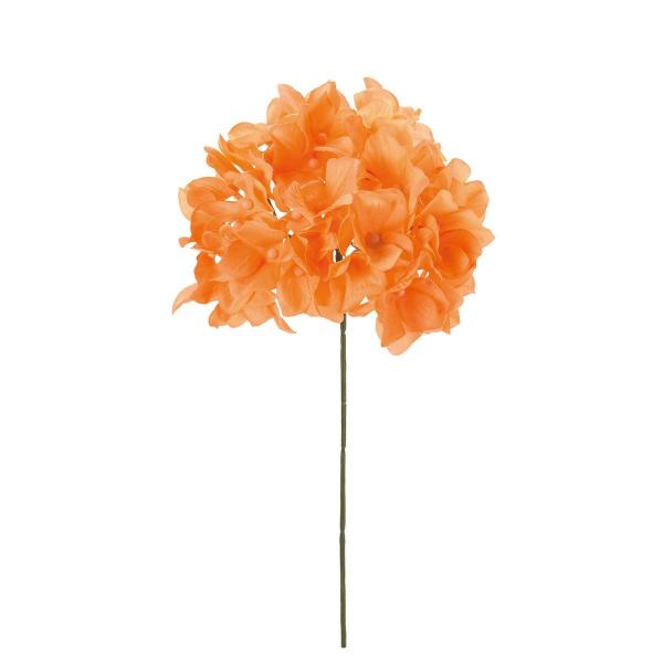  MAGIQ AXnChWA 6 s[`IW FM025048-006  ԍށusv  z