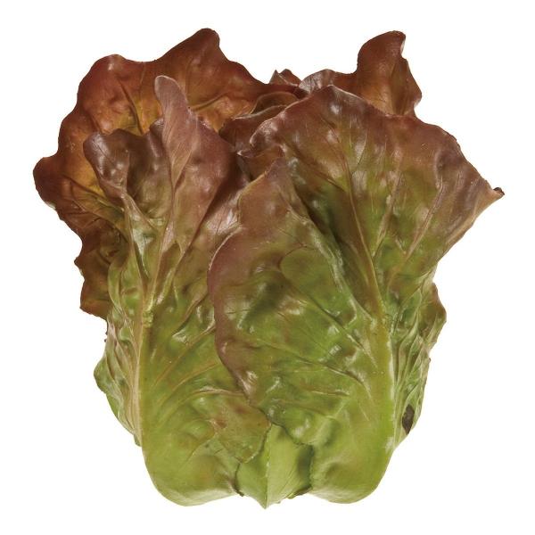  Tj[^X GRBR O[uE FV001804 ԎAtFCNt[c t[cAxW^u