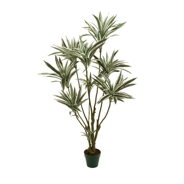直送 人工観葉植物 Magiq 東京堂 ドラセナ Cr Gr クリームグリーン Fg 返品 代引 キャンセル不可 人工観葉植物 高さ 150cm 002 はなどんやアソシエ 通販 Yahoo ショッピング