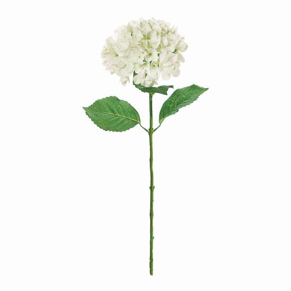  MAGIQ NeBnChWA WHITE FM000239-001  ԍށusv  z