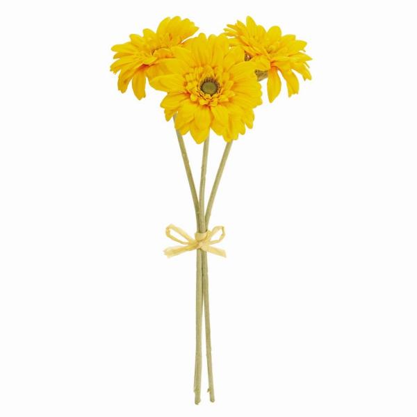 ガーベラ 3本」の人気商品一覧 | 安い商品を通販サイトから探す