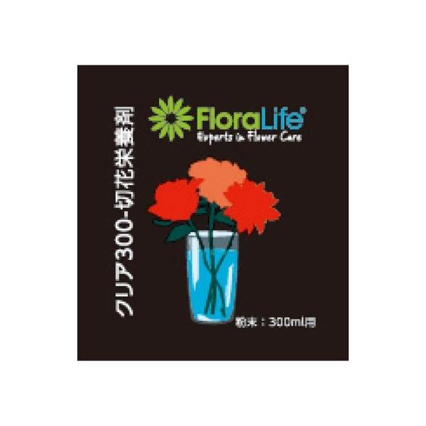 IAVX `wt[Ct؉ԉh{300 3100 SJ025252 ؉ԉ h{ t[Ct