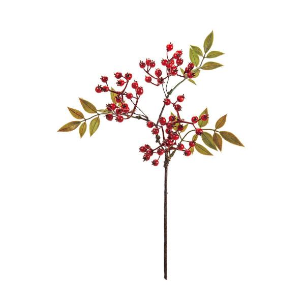  MAGIQ tV #3 RED FJ001912-003 ԎAtFCNt[c ie