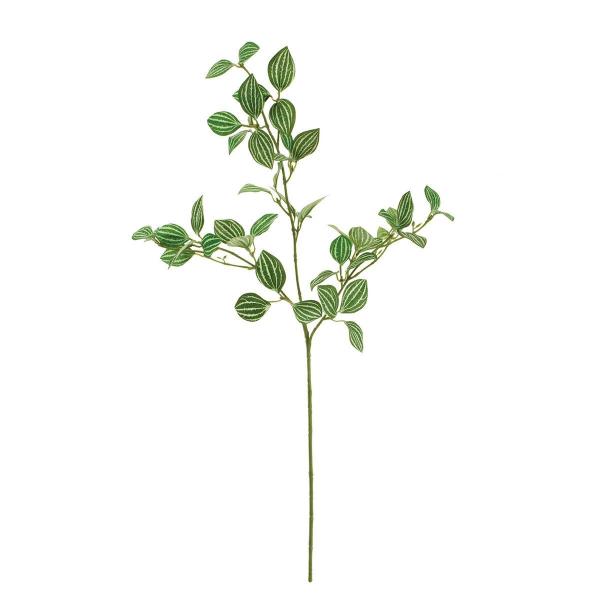  MAGIQ yy~AXv[ GREEN FG001326 ԗtAtFCNO[ ̑̑ԃO[