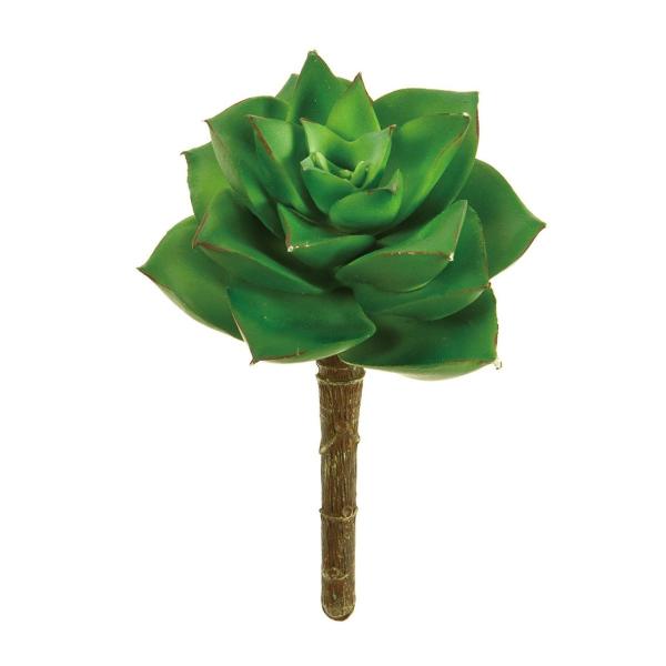  MAGIQ [YGPxAk GREEN FG006933 ԗtAtFCNO[ GAvc