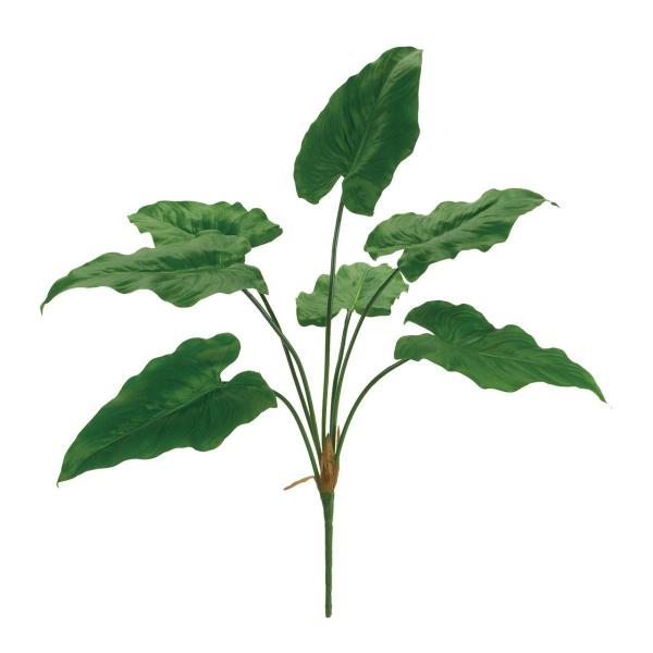  MAGIQ J[[tubV LTGR FG001362 ԗtAtFCNO[ ̑̑ԃO[