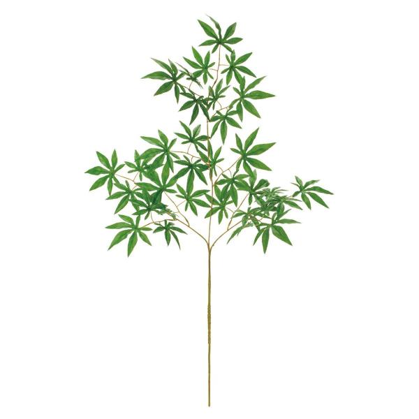  MAGIQ R݂ GREEN FG001895 Ԏ} ~W C`E