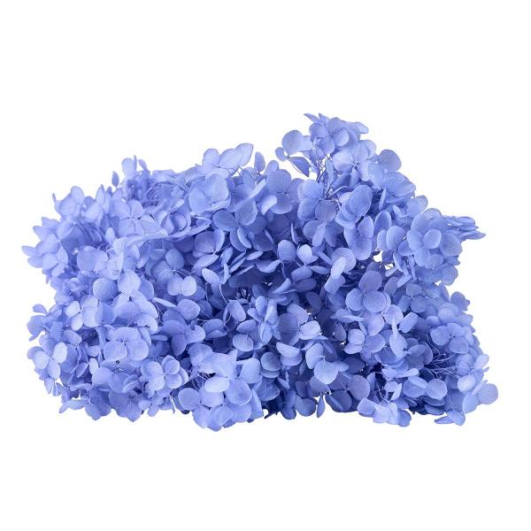 アナベル アジサイ 確認用 ③ プリザーブドフラワー プリザーブドフラワー 花材 即日出荷 ソフトあじさいアナベル