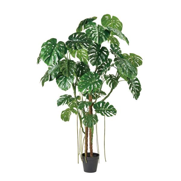 直送 人工観葉植物 東京堂 ☆AX☆モンステラジョイントポット グリーン
