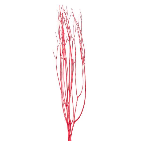 【商品番号：002-46931】/【VAR：81912】date20250610ドライ枝物 三又