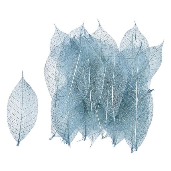 【商品番号：002-47650】/【VAR：88322】date20260113ドライ葉物 リーフ