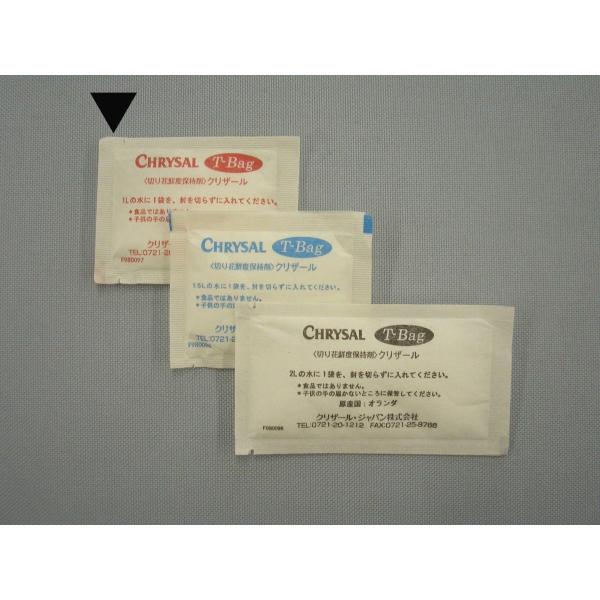 NU[ s|a`f@PkoPcp@ 1000 ؉ԉ h{ NU[