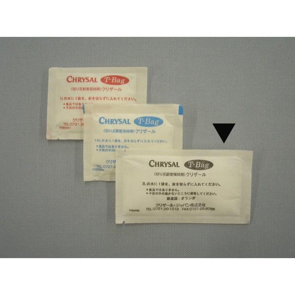 NU[ s|a`f@QkoPcp@ PPTO ؉ԉ h{ NU[