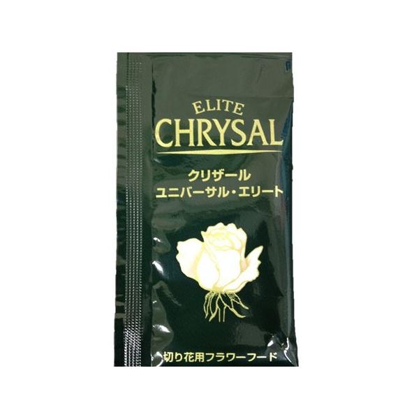 NU[ G[g t̃^Cv @ ܂POO 10 ؉ԉ h{ NU[