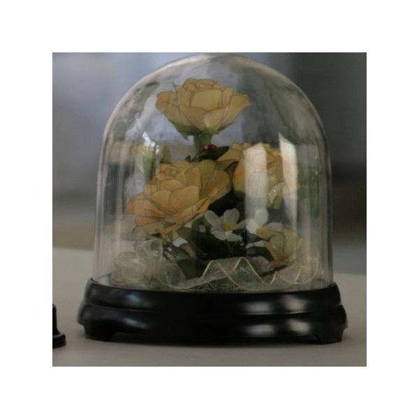 Z Zh[ PQOl ubN F6211 Ԋ ԕr h[AKXh[