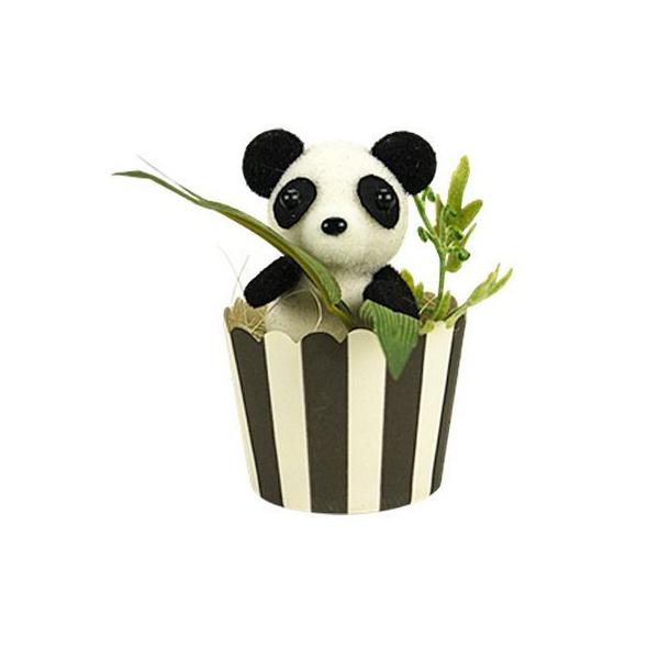 Z xr[p_   20172500 ԃMtg t[AW