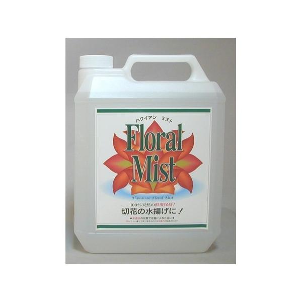 nCAt[~Xg@l֗p@SOOO 1541004 ؉ԉ h{ ̑؉ԉh{