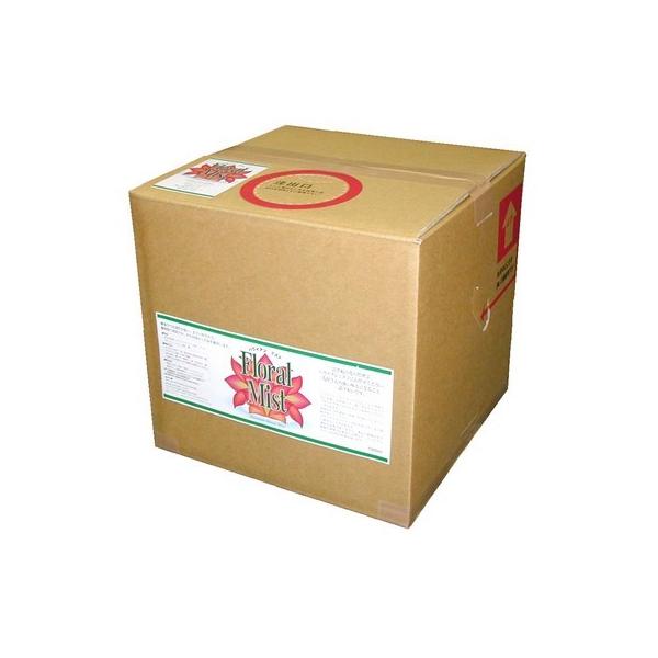 nCAt[~Xg@QObg 1541011 ؉ԉ h{ ̑؉ԉh{