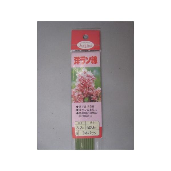 m@PO{@ӂRDQ×TO 3123250 K[fjO |pi | x